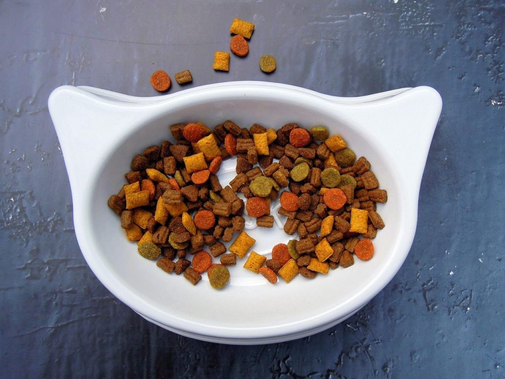 cat food,
