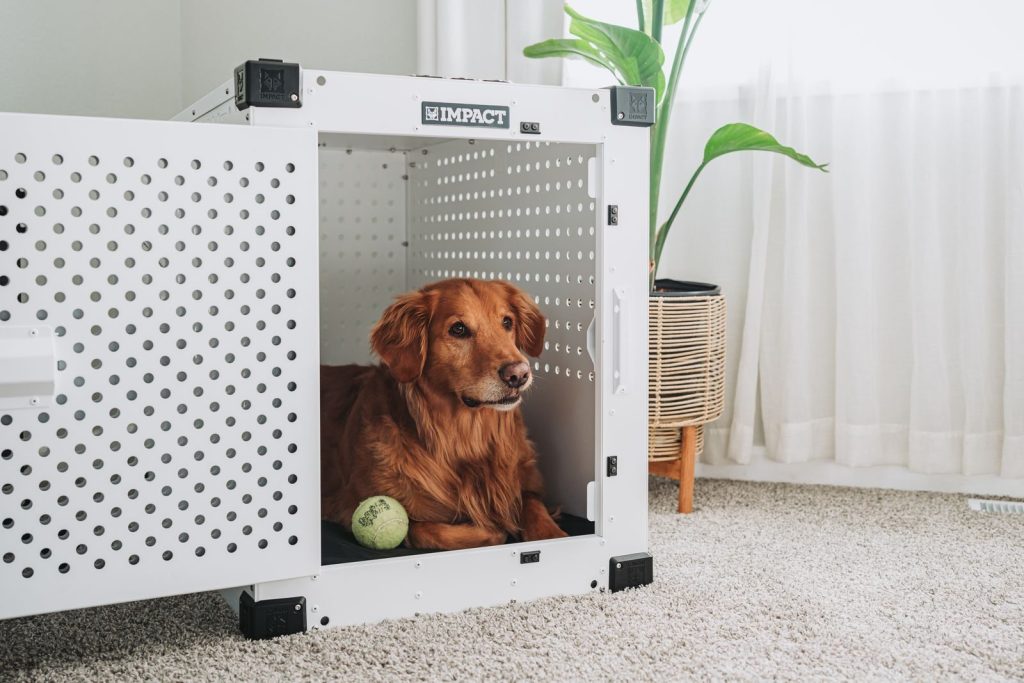 dog crate